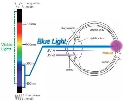 德普都在戴的波士顿款，专业级防蓝光护目镜，彩虹镜腿随便换