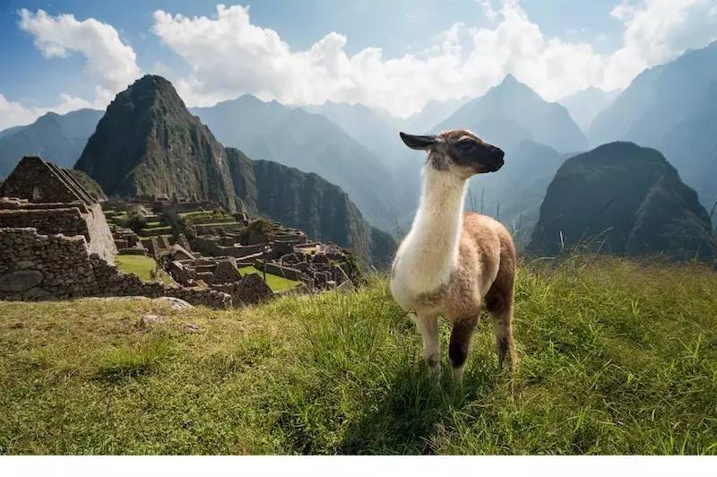 美签可以去南美吗,持美签可以去哪些南美洲国家