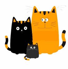 故事丨宝宝出生的那一天，我经历了什么？