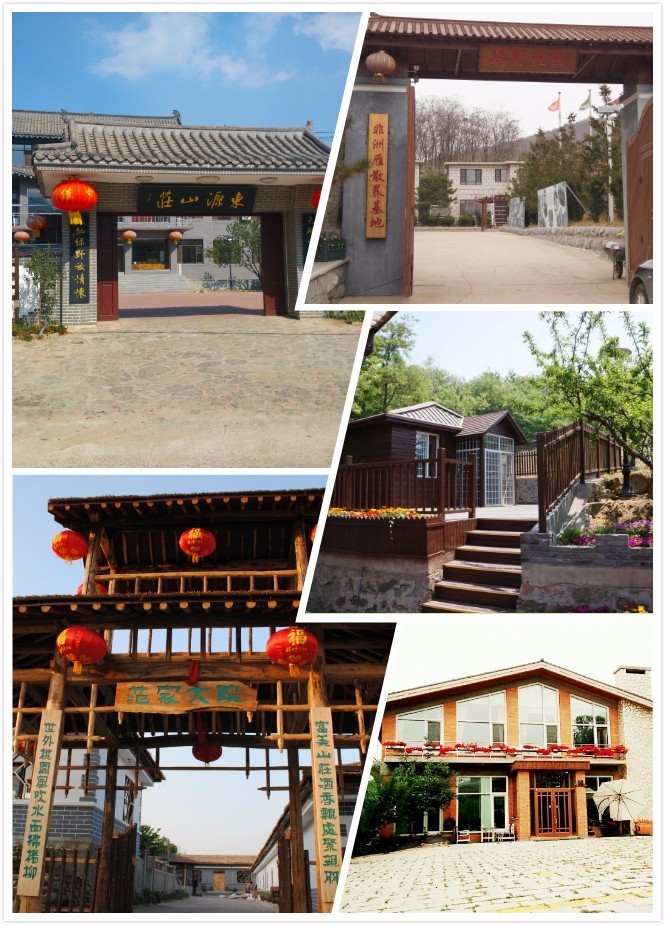 「福利来了」金普市民最爱好的八大系列十大特色餐饮名店揭晓！快看有你喜欢的店吗？