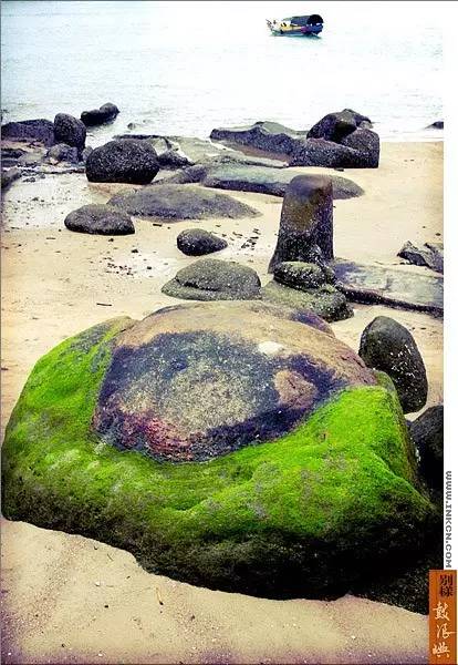 鼓浪屿申遗过程,鼓浪屿申遗40年成功了吗