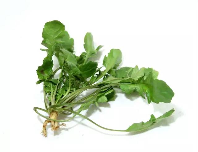 对眼睛干涩有好处的食物,缓解眼疲劳改善视力多吃7种水果