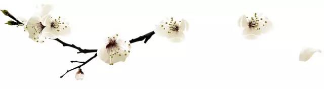 邛崃市2019年优秀教师,2017邛崃优秀青年教师