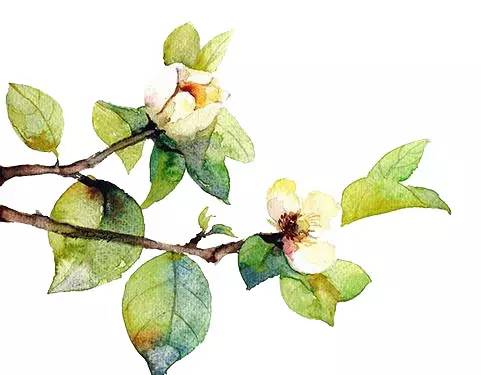 邛崃市2019年优秀教师,2017邛崃优秀青年教师