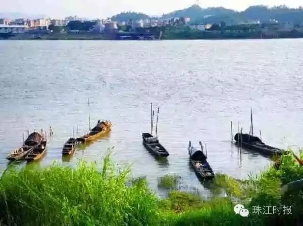 西樵地铁西樵站规划,西樵地铁站最新消息