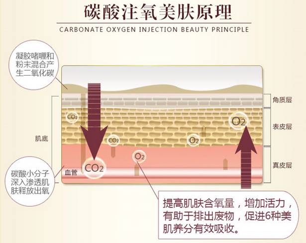 周三团丨我安排接下来的两周让宋仲基天天陪你，请关注查收！