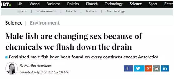 避孕药被排入下水道……英国有很大一部分鱼变性了……变性了……性了……