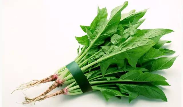 对眼睛干涩有好处的食物,缓解眼疲劳改善视力多吃7种水果