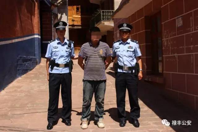 禄丰的父老乡亲们，我们需要您的客观评价！