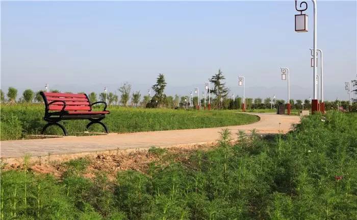 咸阳美丽的渭河湿地公园,咸阳生态湿地公园