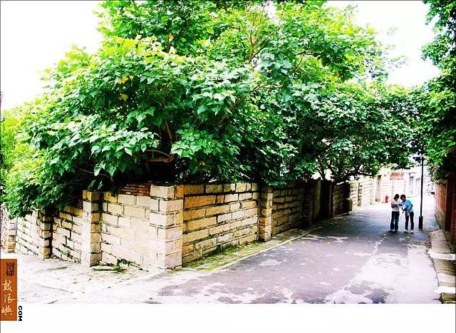 鼓浪屿申遗过程,鼓浪屿申遗40年成功了吗