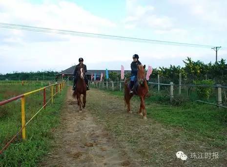 西樵地铁西樵站规划,西樵地铁站最新消息