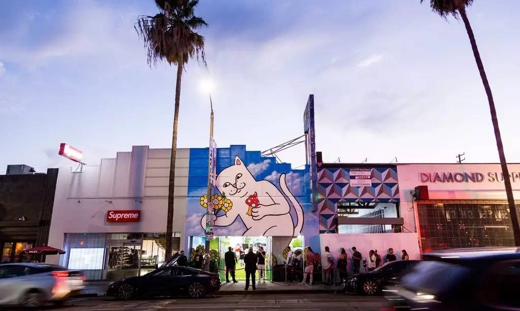 中指猫和supreme联名的卫衣,supreme和中指猫联名