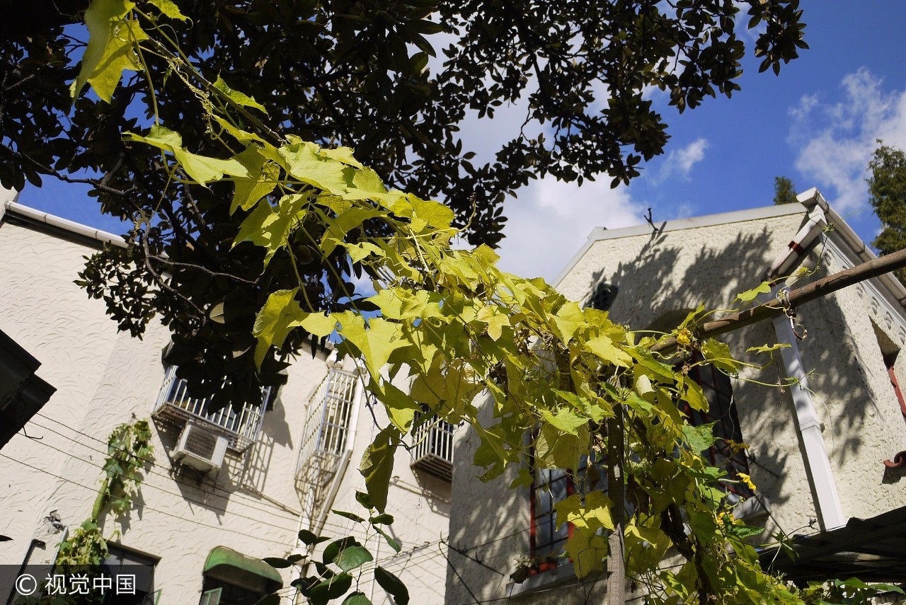 上海附近的免费凉快的地方,上海哪里可以免费乘凉