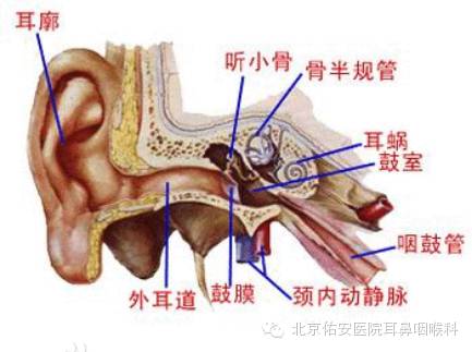 佑安耳鼻喉科怎么样,佑安传播直播
