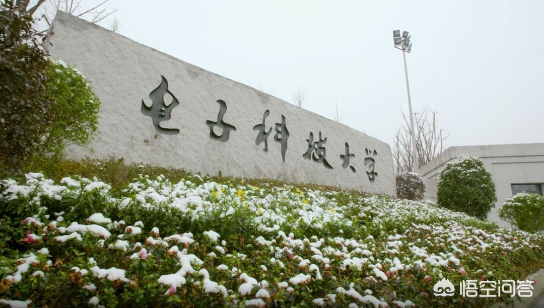 电子科技大学是985吗全国排名,电子科技大学在985里算什么水平