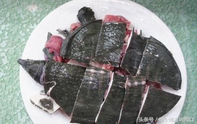 甲鱼的杀法及做法,甲鱼杀法和做法