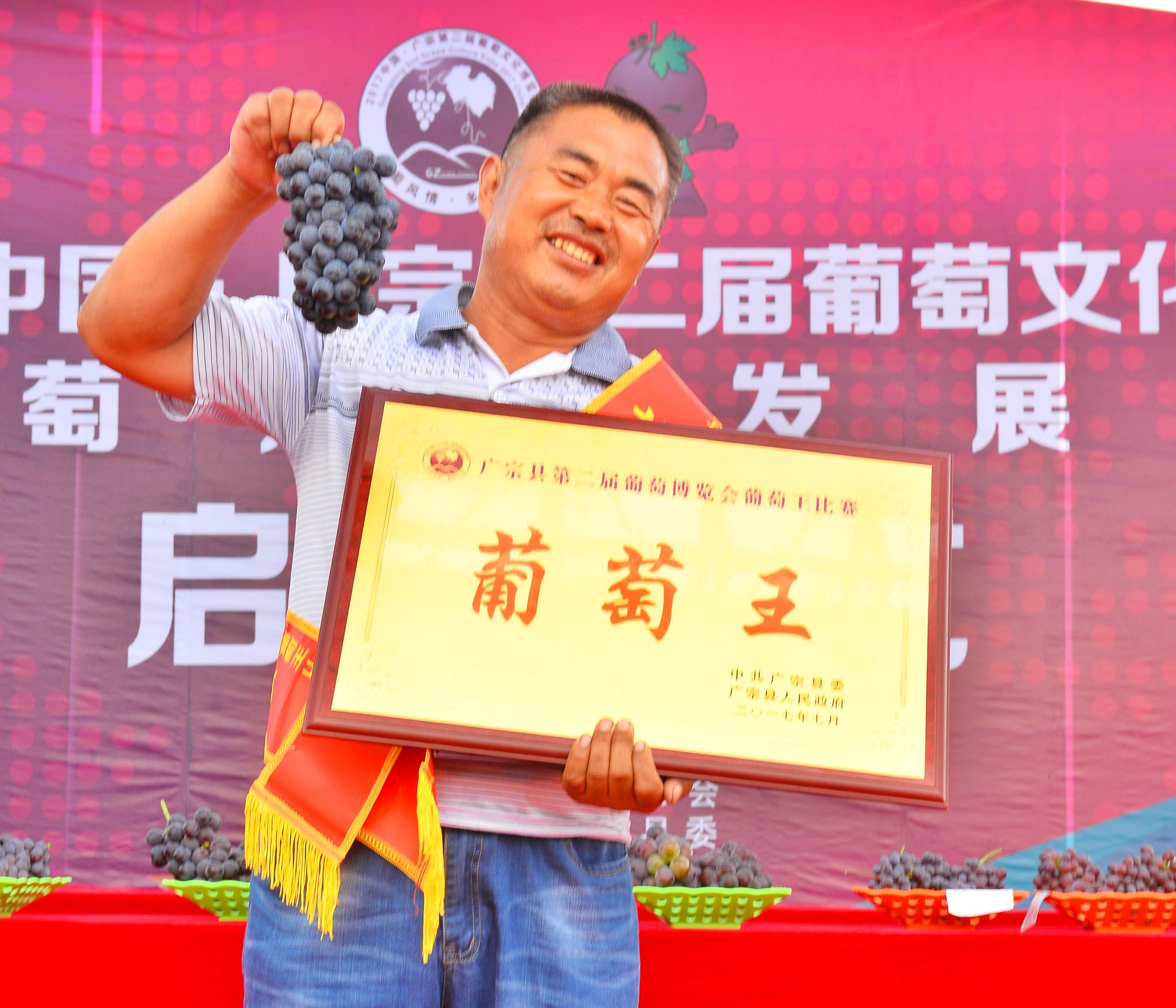 邢台广宗，葡萄王来了