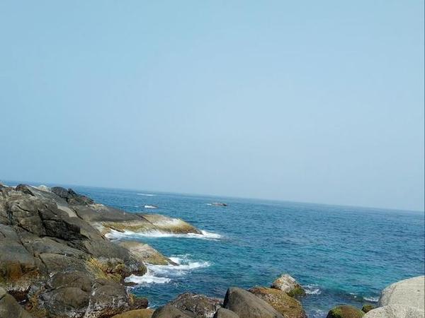 三亚旅游防蚊虫攻略,三亚防宰攻略详细