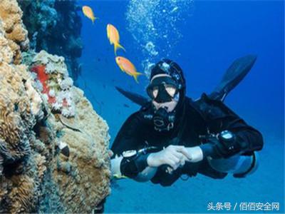 我们在潜水时该关注什么？
