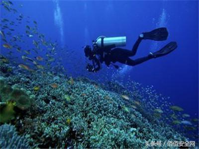 我们在潜水时该关注什么？