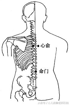 颈椎病三伏贴贴哪几个穴位,膝盖疼贴三伏贴贴哪个穴位最好