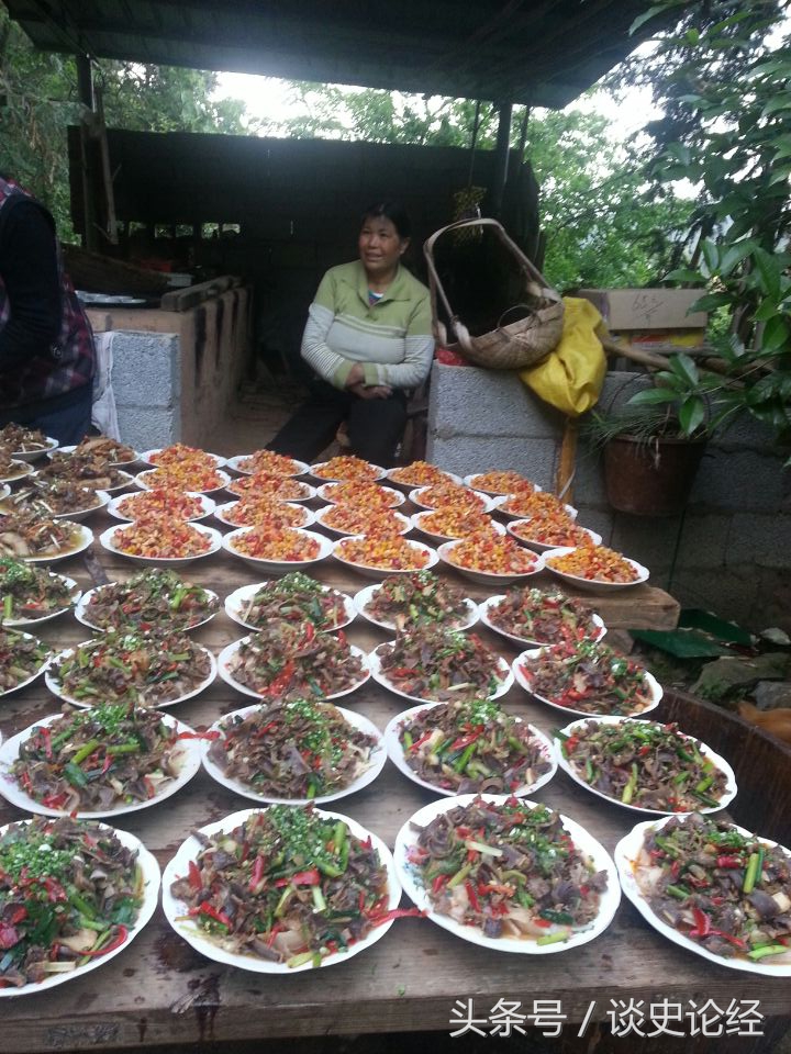 诗经周南樛木吟诵舞蹈动作,诗经国风周南樛木注音版