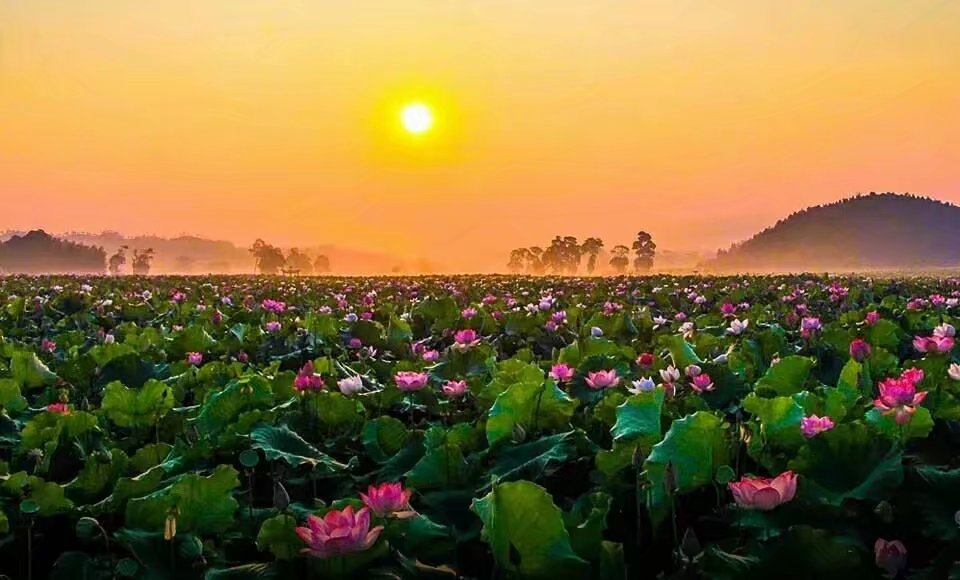 农村道路交通安全劝导站人员,广昌县交警