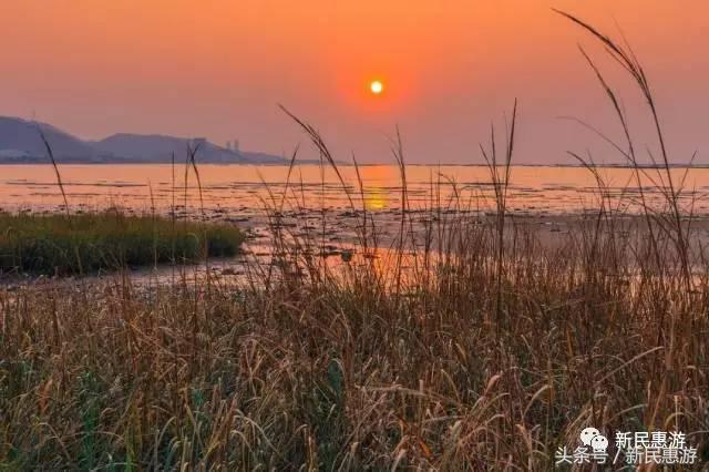 元朗最值得去的地方,元朗特色
