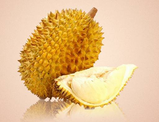 忘返原唱,榴莲忘返大武口店