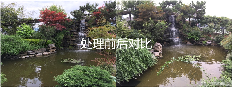 锦鲤鱼池生态循环过滤,锦鲤鱼池过滤系统视频