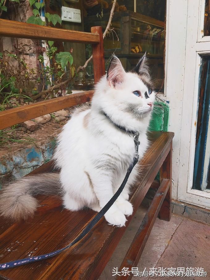 张家界凤凰4日游攻略,张家界凤凰五日游线路图片