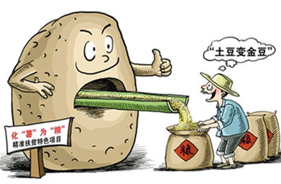 马铃薯滞销怎么解决,马铃薯滞销