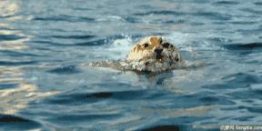 通州哪里去游泳？16个泳池都在这了！快收藏起来！