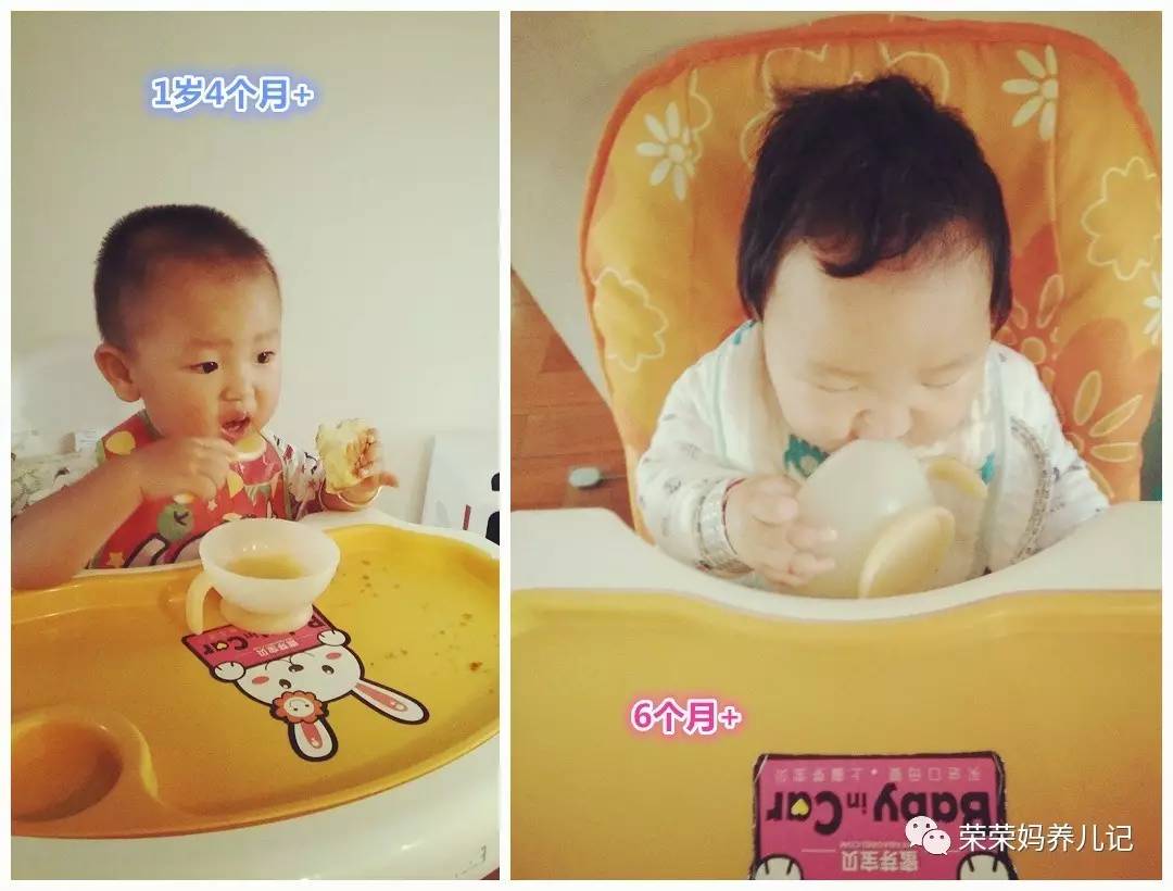 喂一个孩子长大竟然需要用这么多碗？细数各种类型的辅食碗优劣