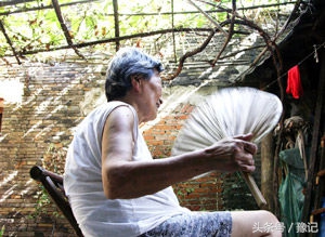 蒲扇老式怎么用,老式蒲扇是什么