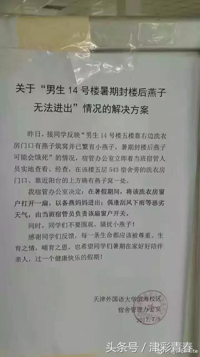 暖哭！天津版小燕子由我们来守护！