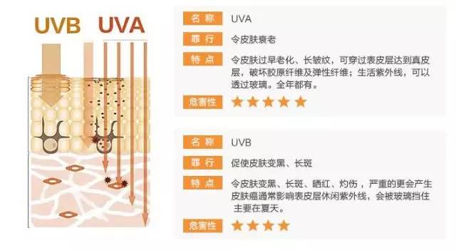 你和富人到底差在哪里,你和富豪之间差在哪