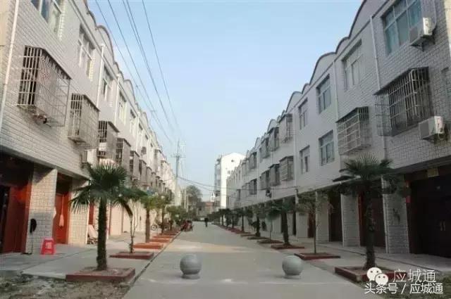 如果应城变成王者荣耀，各个乡镇都是谁……太形象了！