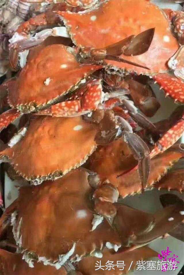 京津冀农家院（紫塞）乡村游攻略八十五：唐山乐亭浅水湾北京人家度假村