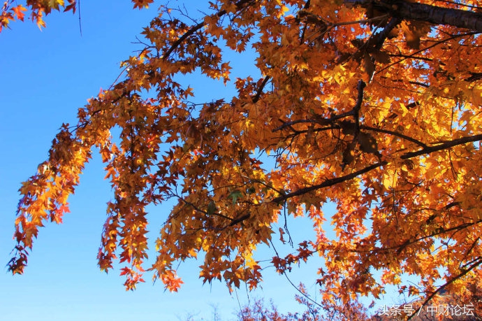 关于我们的网名,那些年我们的网名