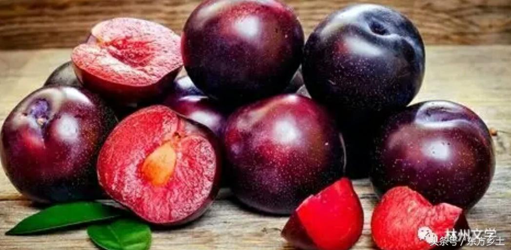 林州文学‖李子和人