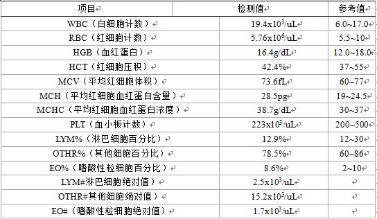 犬脓肿症状,犬脓肿的处置