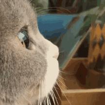 闹动静的不止农药还有暴雪和天刀