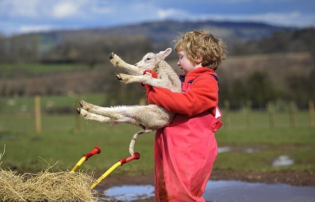 如何给孩子改掉看电视的坏习惯,如何引导孩子不要看大人电视