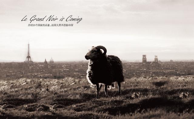 桃夭心动,桃夭心机女