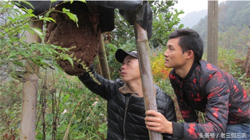 致富的新门路有哪些,有致富的门路推荐一下