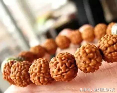 金刚菩提纹路里反碱,六瓣雪花金刚菩提纹路