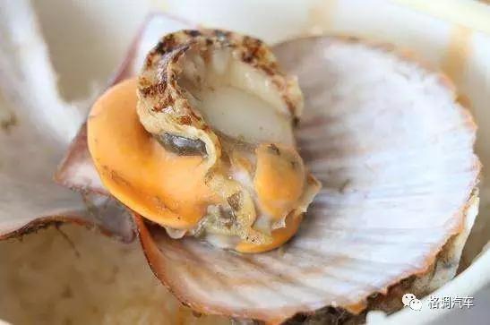 毕业青岛旅游攻略,青岛毕业旅行三日游