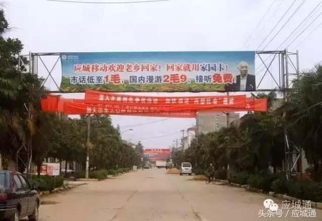 如果应城变成王者荣耀，各个乡镇都是谁……太形象了！